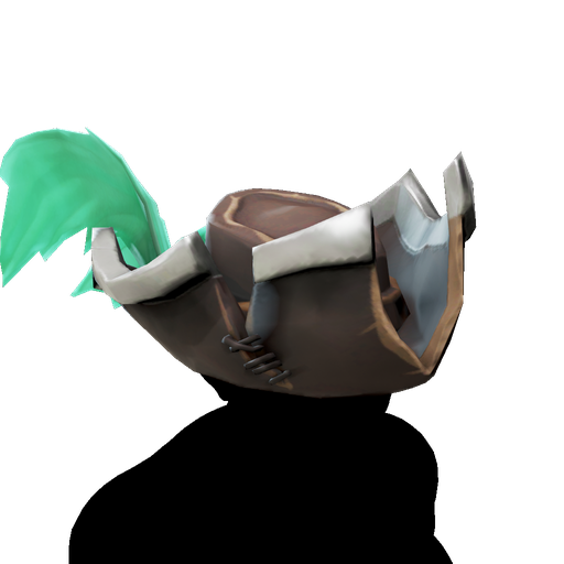 Pirate Lord's Hat image
