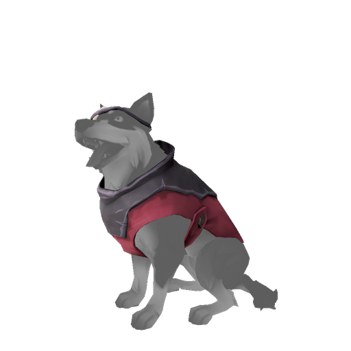 Sea Dog Outfit