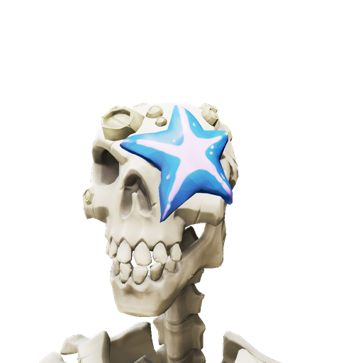 Barnacled Skull