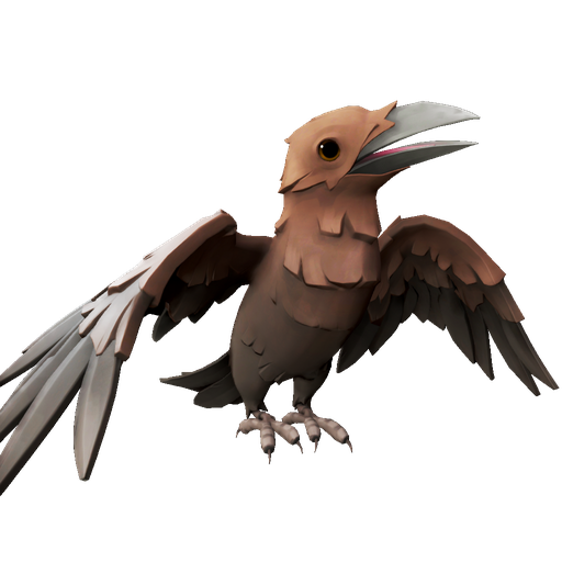 Curious Raven