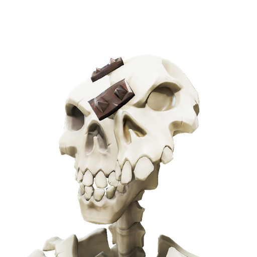 Standalone Cosmetics Repaired Skull