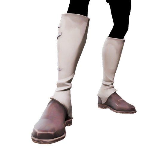 Silver Coin Boots