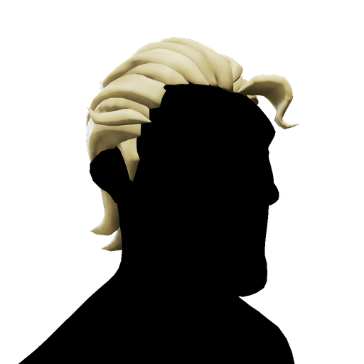 Silver Coin Hair
