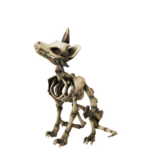 Skeleton Collector's Pet