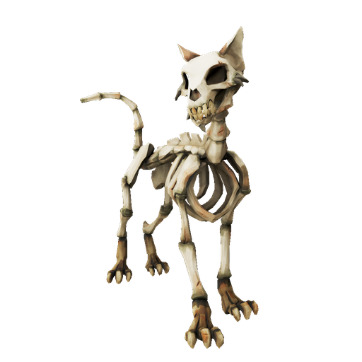 Skeleton Collector's Pet