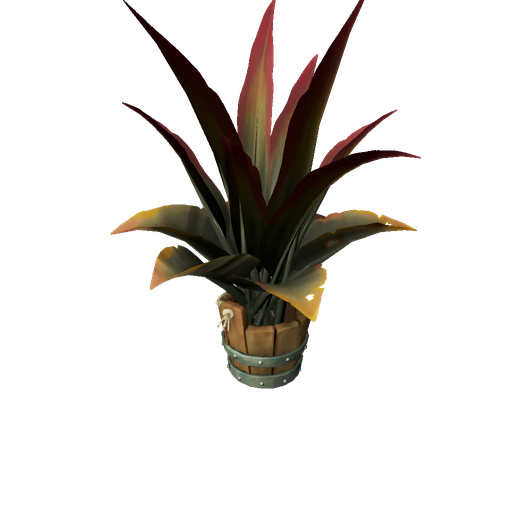 Standalone Cosmetics