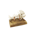 Admired Catch of the Day