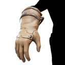 General Cosmetics Gloves