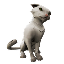 Silver Blade Cat