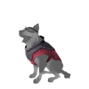 Sea Dog Outfit