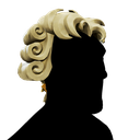 Aristocrat Hair