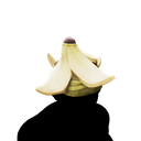 Standalone Cosmetics Hat