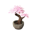 Standalone Cosmetics