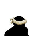 Disgraced Hunter's Hat