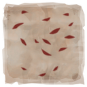 Flags of Friendship Scars