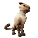 Standalone Cosmetics