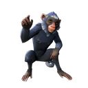 Standalone Cosmetics