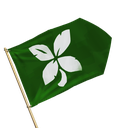 Lucky Rover Flags
