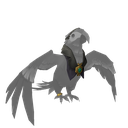 Legendary Pet Outfit