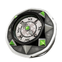 Black Dog Compass