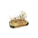 Prized Catch of the Day