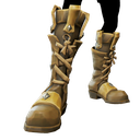 Rogue Sea Dog Boots