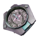 Rogue Sea Dog Compass