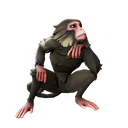 Standalone Cosmetics