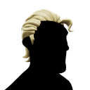 Silver Coin Hair