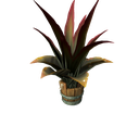 Standalone Cosmetics