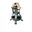 Standalone Cosmetics