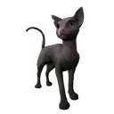 Standalone Cosmetics