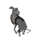 Sea Dog Pet Outfit