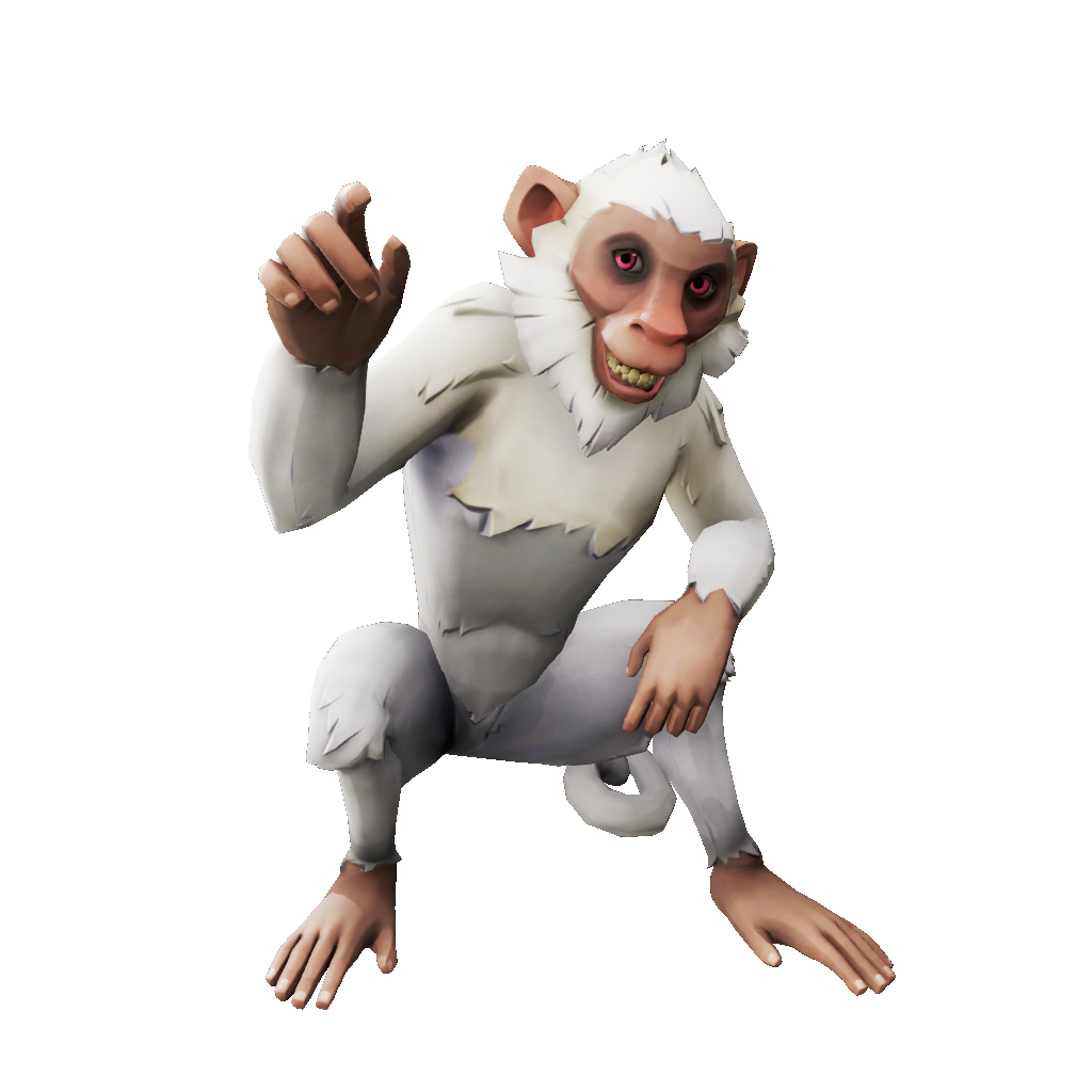 Monkey