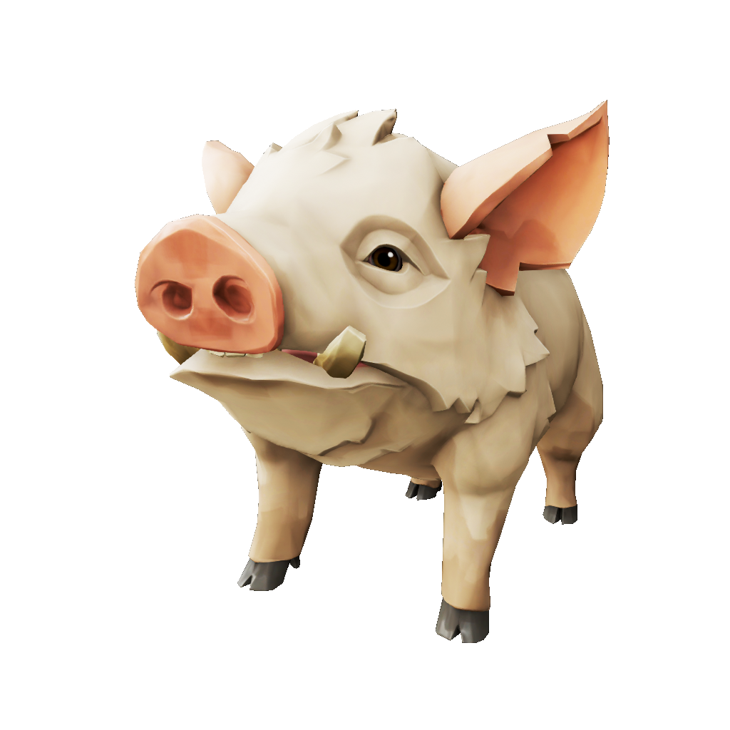 Pig