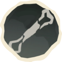 Bones